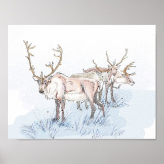 Poster Reindeer dans l'impression neige