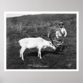 Poster Reindeer & Eskimo Alaska 1920 (Devant)