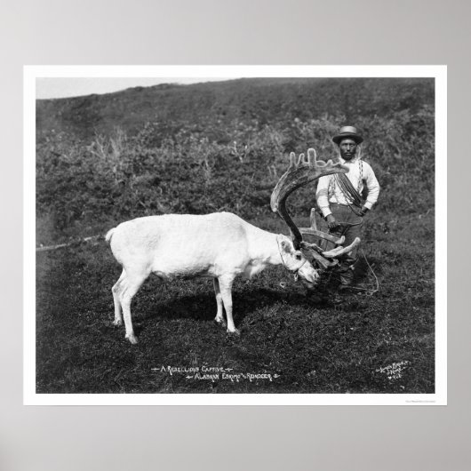 Poster Reindeer & Eskimo Alaska 1920 (Devant)