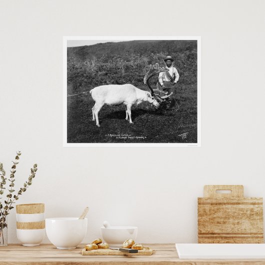 Poster Reindeer & Eskimo Alaska 1920 (Cuisine)