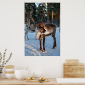 Poster Reindeer neige Montagne Joli paysage (Cuisine)