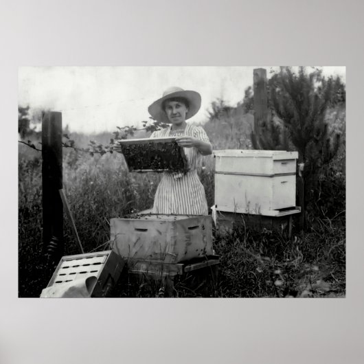 Poster REINE BEEKEEPER 19e siècle (Devant)