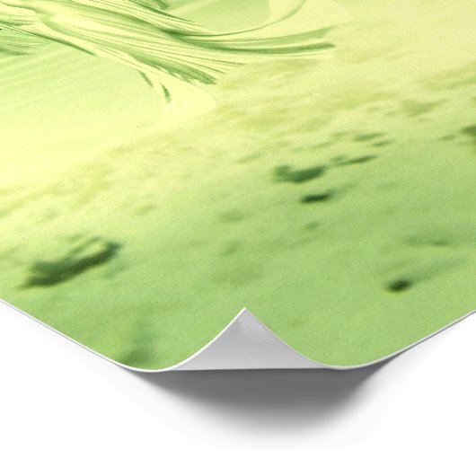 Poster Reine De Narnia (Coin)