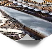 Poster Reine des chats (Coin)