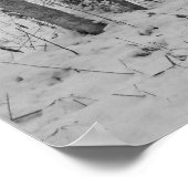 Poster Reine des neiges (Coin)