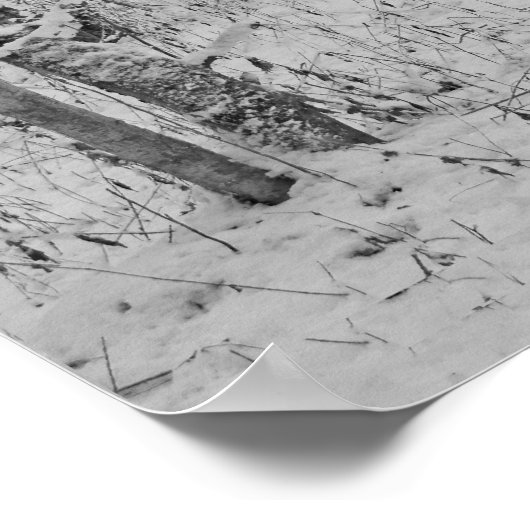 Poster Reine des neiges (Coin)