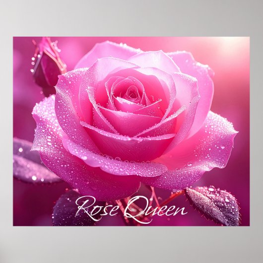 Poster Reine des Roses (Devant)