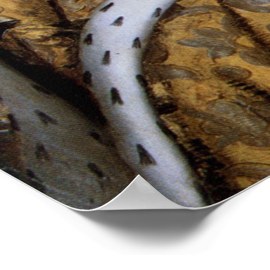 Poster Reine Elizabeth I d'Angleterre à Coronation Robe (Coin)