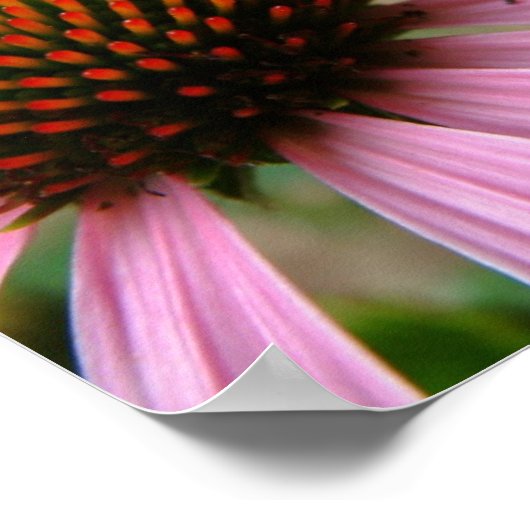 Poster Rejoice (Hoek)