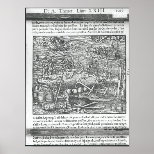 Poster Rejoindre une baleine (Devant)