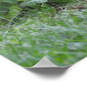 Poster Relax Écureuil reposant sur les racines de l'arbre (Coin)