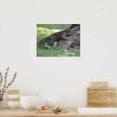 Poster Relax Écureuil reposant sur les racines de l'arbre (Cuisine)