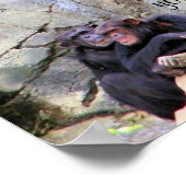 Poster Relax & Love_ (Coin)