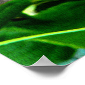 Poster Relaxant...... (Coin)