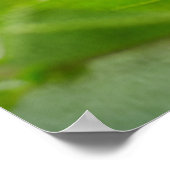 Poster Relaxant (Coin)