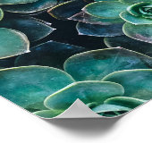 Poster Relaxant Vert Bleu Succulent Cactus Plantes (Coin)