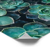 Poster Relaxant Vert Bleu Succulent Cactus Plantes (Coin)