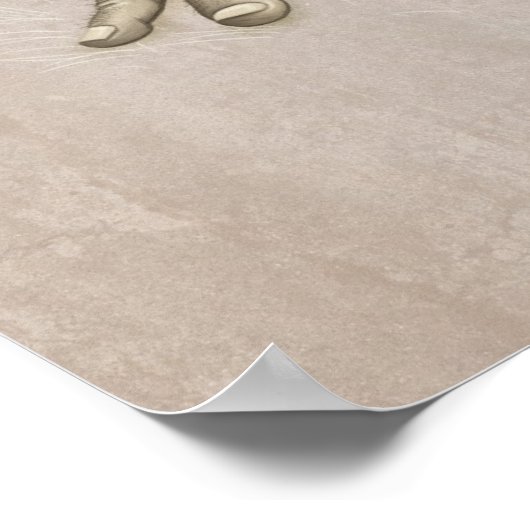 Poster Relaxed elf (Coin)