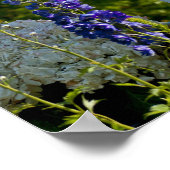 Poster Remagen (Coin)