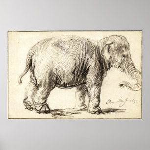 Poster Rembrandt - Elephant 1637
