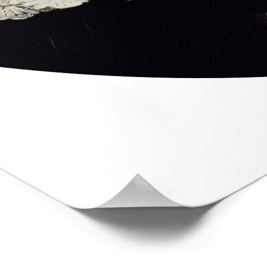 Poster Rembrandt - Jeune Femme (Coin)