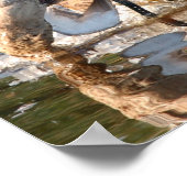 Poster Remington (Coin)