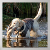 Poster Remington (Devant)