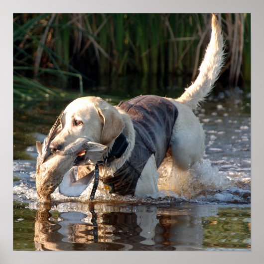 Poster Remington (Devant)