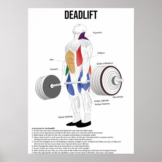 Poster Remise en état - Exercice - Diagramme d'anatomie m (Devant)