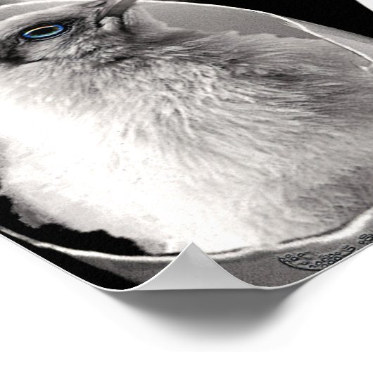 Poster Remplacé par l'impression à la fin (Coin)