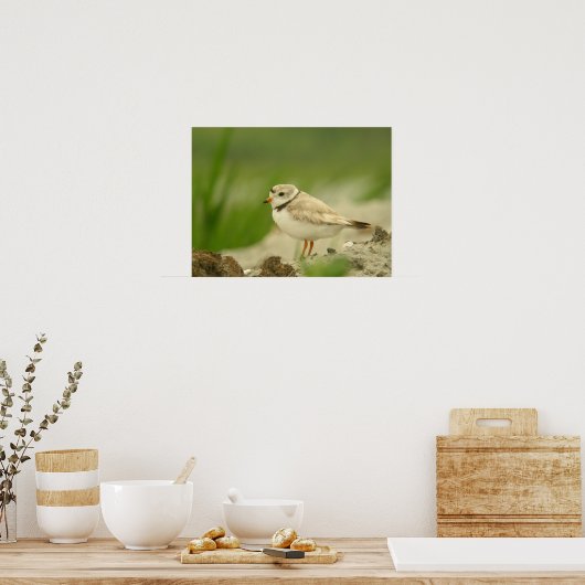 Poster Remplacement du tuyau (Cuisine)