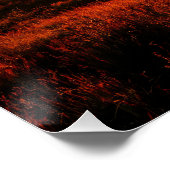 Poster Renaissance de la lumière (Coin)