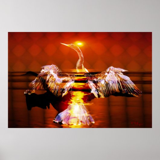 Poster renaissance du phoenix (Devant)