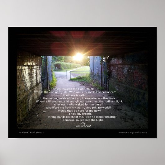 Poster Renaissance par Fredi Stewart (Devant)