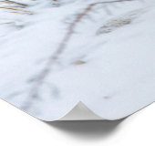 Poster Renard arctique (Coin)