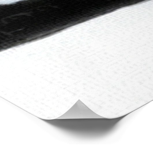 Poster Renard arctique (Coin)