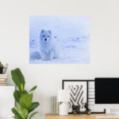 Poster Renard arctique, Islande (Bureau à domicile)