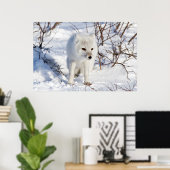 Poster Renard Arctique, Zone de gestion de la faune de Ch (Bureau à domicile)