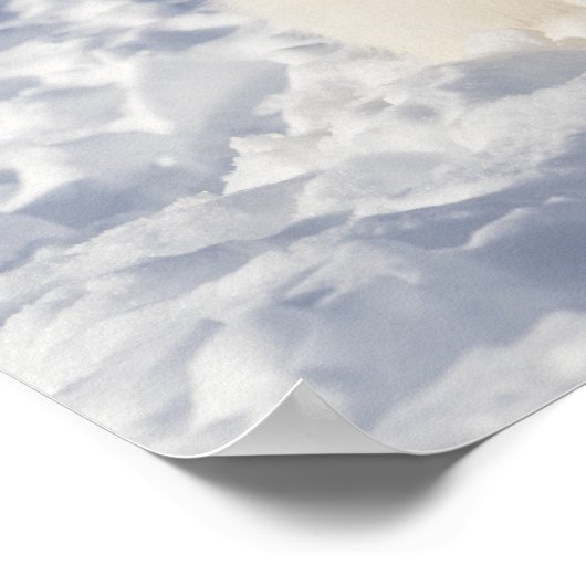 Poster Renard blanc (Coin)