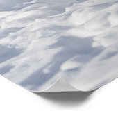 Poster Renard blanc (Coin)