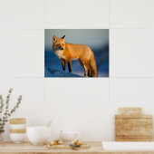 Poster Renard Brown (Cuisine)