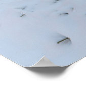 Poster Renard d'hiver (Coin)