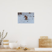 Poster Renard d'hiver (Cuisine)