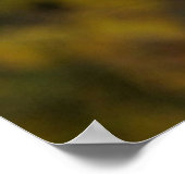 Poster Renard endormi (Coin)