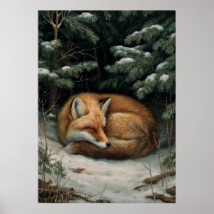Poster Renard endormi dans une forêt hivernale