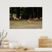 Poster Renard Family (Cuisine)