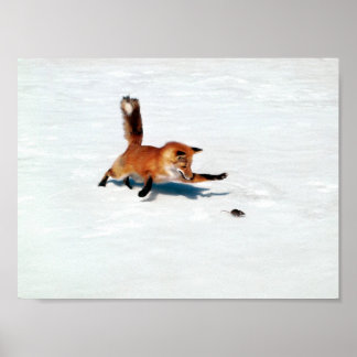 Poster Renard rebondissant