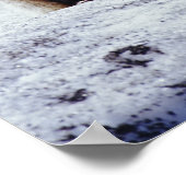 Poster Renard rouge assis sur le banc de neige, Vulpes, M (Coin)