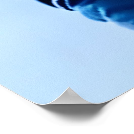 Poster Renard rouge avec uniforme et feu d'artifice | Art (Coin)