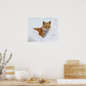 Poster Renard rouge dans la neige (Cuisine)